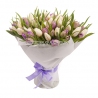 101 тюльпан : фиолетовый + белый
